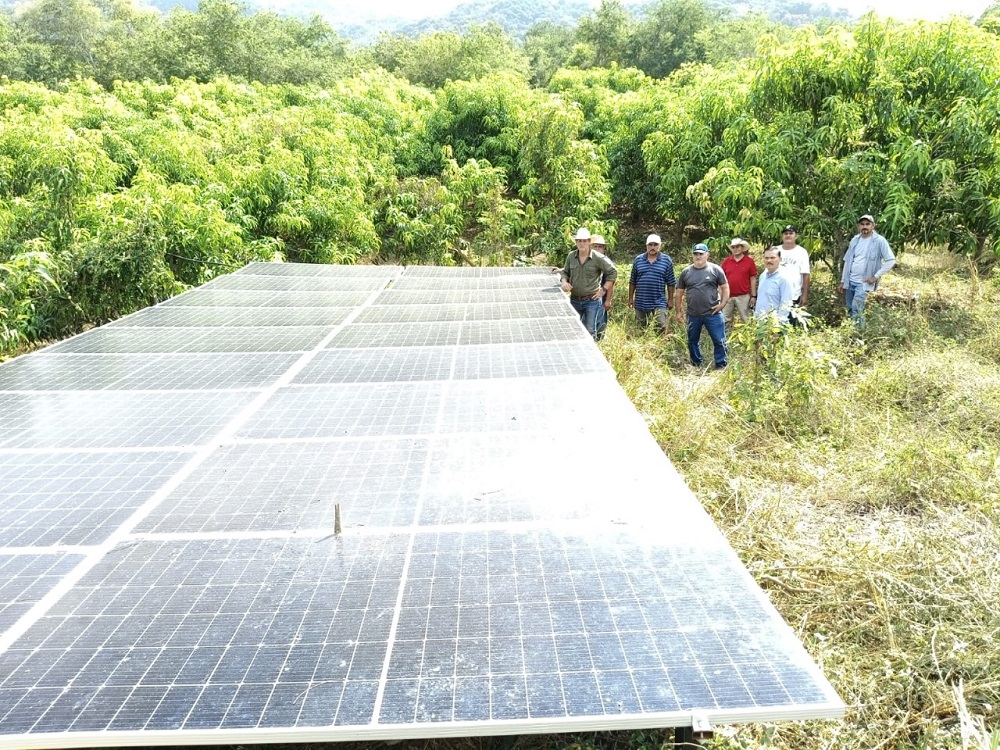 Subseder se reúne con productores de mango en Manzanillo; supervisan operación de infraestructura