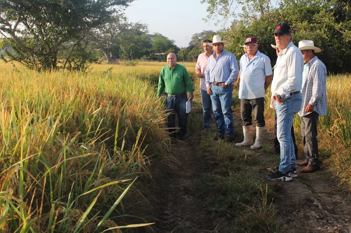 Comisión Dictaminadora supervisa predios de aspirantes al Premio Estatal al Mérito Agropecuario Colima 2024