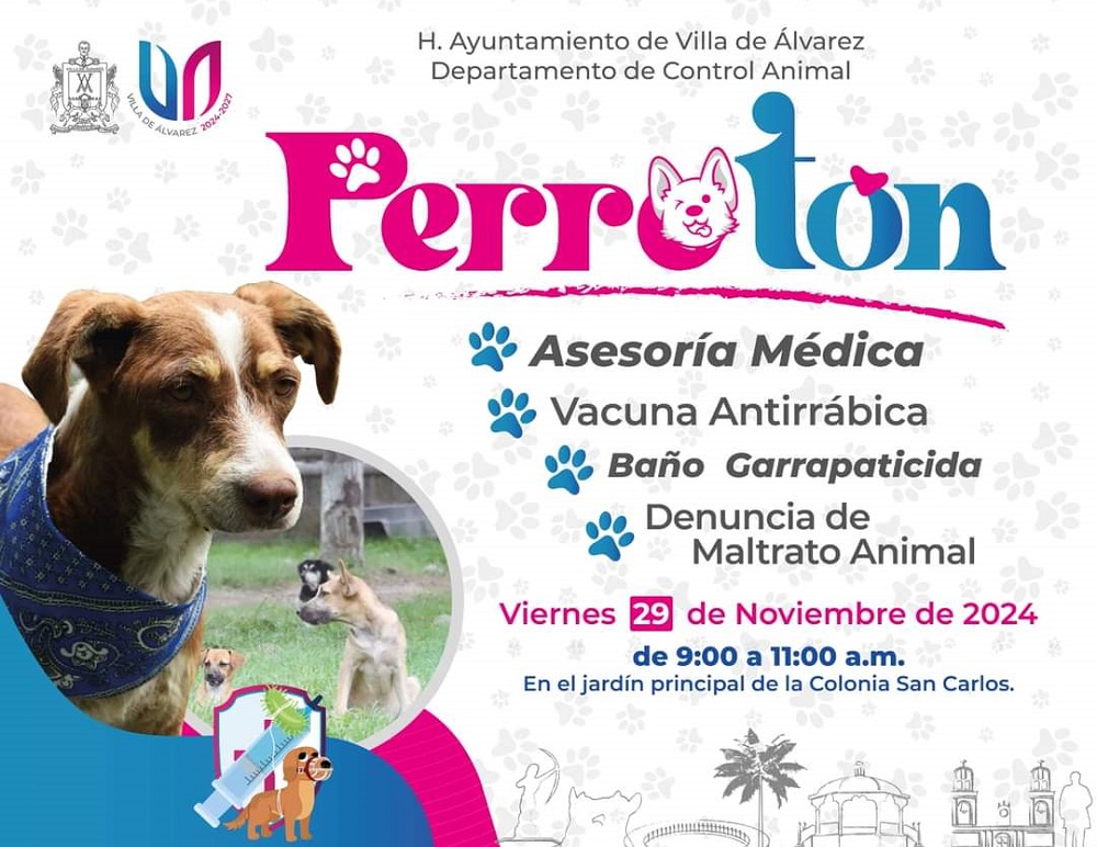 Lleva Tey Gutiérrez el programa Perrotón a la colonia San Carlo