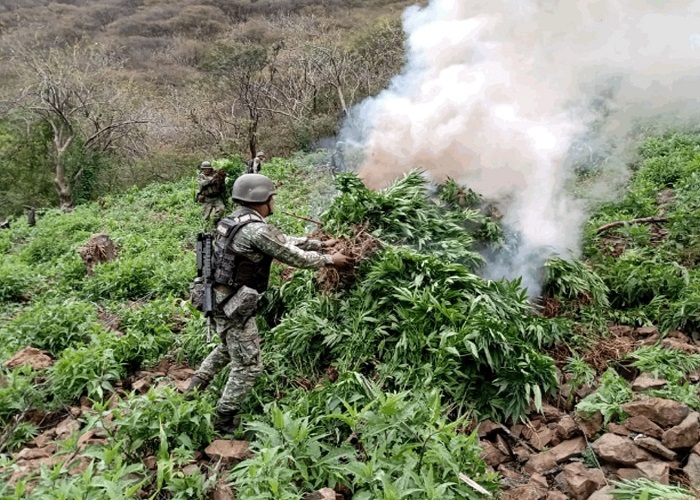 El Gabinete de Seguridad del Gobierno de México informa acciones relevantes del lunes 30 de diciembre de 2024