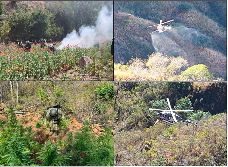 El Gabinete de Seguridad del Gobierno de México informa acciones relevantes del 29 y 30 de noviembre y 01 de diciembre de 2024