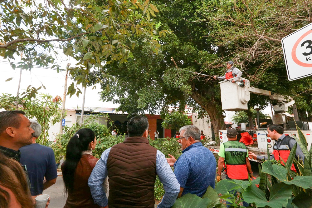 Presidente Riult Rivera, pone en marcha la mega poda, en la colonia Las Palmas