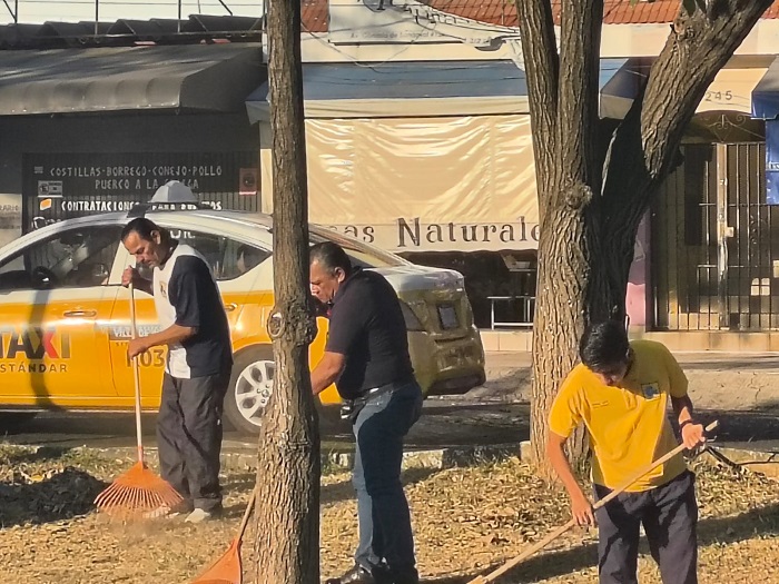 𝐂𝐀𝐑𝐄𝐀𝐃𝐈𝐂, 𝐀𝐂. 𝐬𝐞 𝐬𝐮𝐦𝐚 𝐚 𝐥𝐚𝐬 𝐁𝐫𝐢𝐠𝐚𝐝𝐚𝐬 𝐝𝐞 𝐋𝐢𝐦𝐩𝐢𝐞𝐳𝐚 𝐞𝐧 𝐥𝐚 𝐜𝐚𝐩𝐢𝐭𝐚𝐥