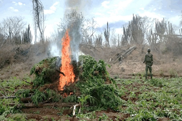 El Gabinete de Seguridad del Gobierno de México informa acciones relevantes del lunes 13 de enero de 2025