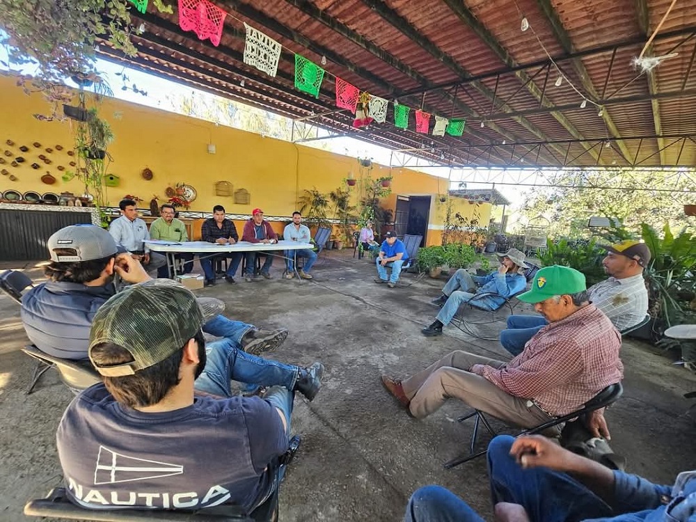 En Colima continúan trabajos para erradicar plagas en cultivos de aguacate, en zona de ‘El Búfalo’