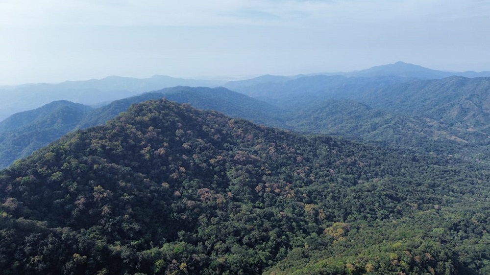 Colima mejora en calidad de vida y medio ambiente, revela estudio del IMCO
