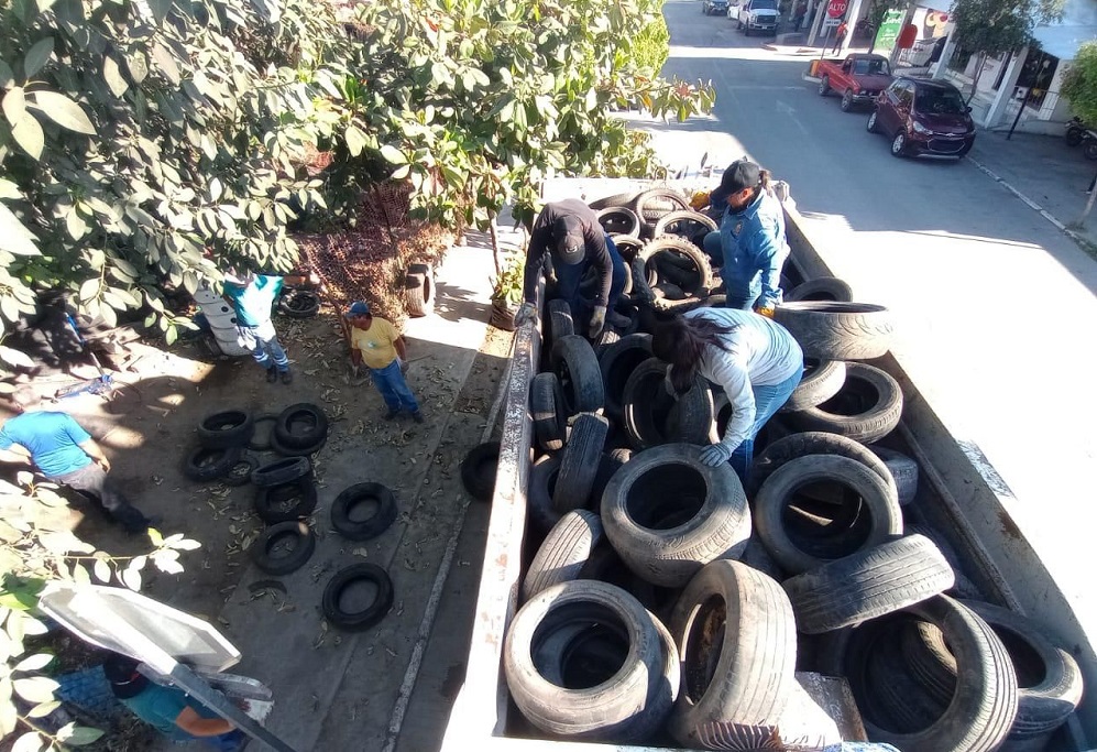 Manzanillo refuerza la lucha contra el dengue: Más de 2.6 toneladas de cacharros eliminados en Marimar