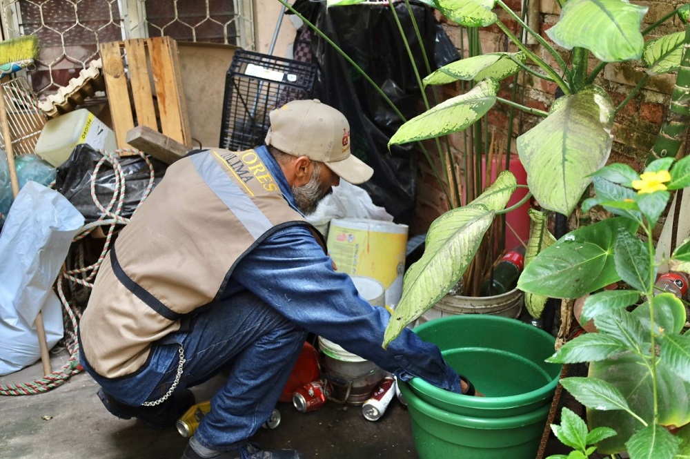 Secretaría de Salud continúa el control larvario contra el dengue en el estado de Colima
