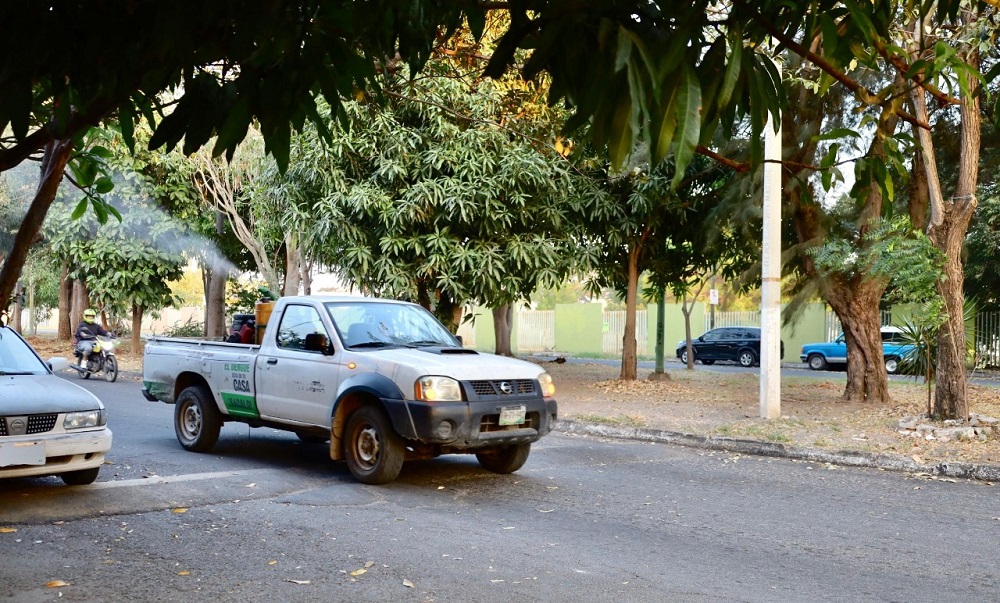 Fortalece Salud Colima protección contra el dengue, con fumigación en Manzanillo