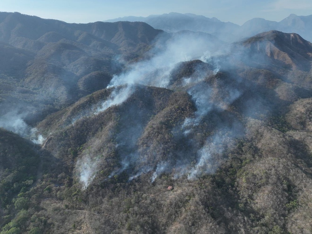 Brigada de Peña Colorada atiende primer incendio forestal de la temporada