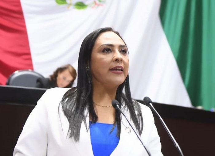 Morena atenta contra la justicia y la economía de México: Julia Jiménez