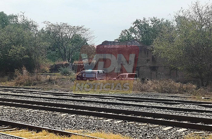 Encuentran cadáver en descomposicion, en la colonia Tívoli, en Colima