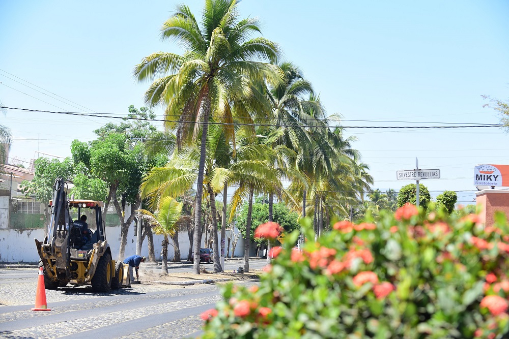 Ayuntamiento de Colima continúa con el remozamiento de camellones, parques y jardines