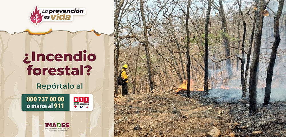 Imades Colima llama a prevenir incendios forestales en Semana Santa y Pascua