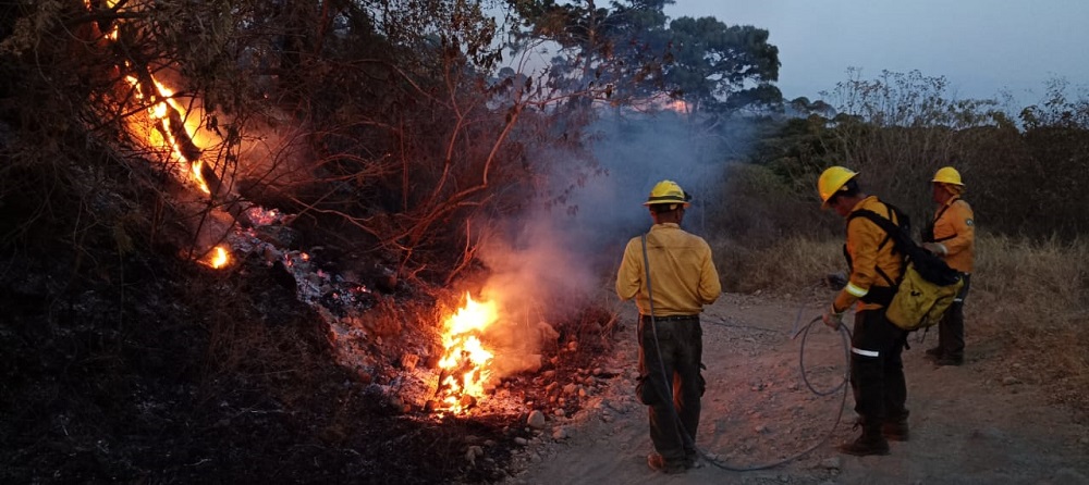 Incendio forestal en Ejido de Quesería registra 90% de control: UEPC Colima