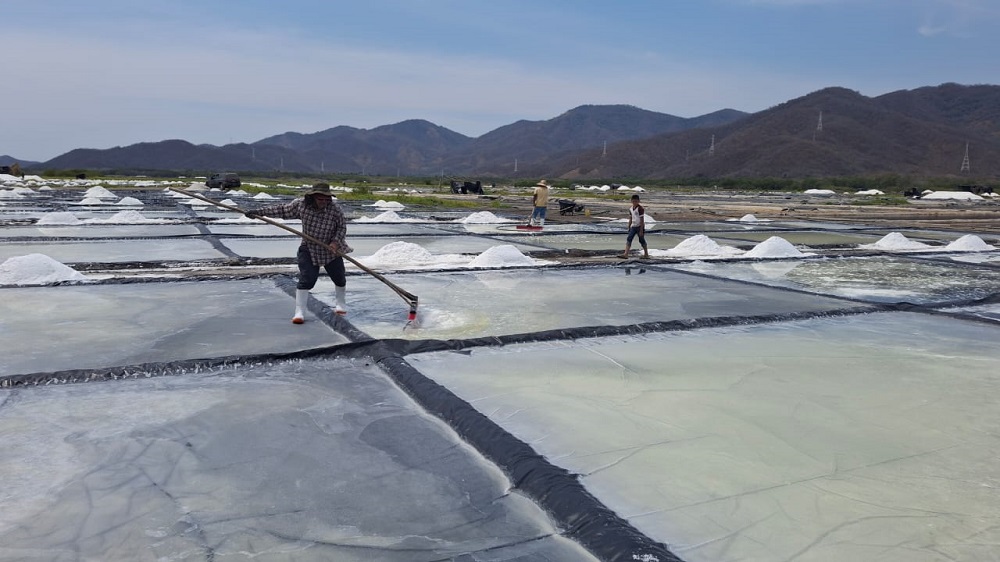 Sal Real de Colima invita a la población a “La Ruta de la Sal”, Un viaje al corazón de la tradición salinera en Colima