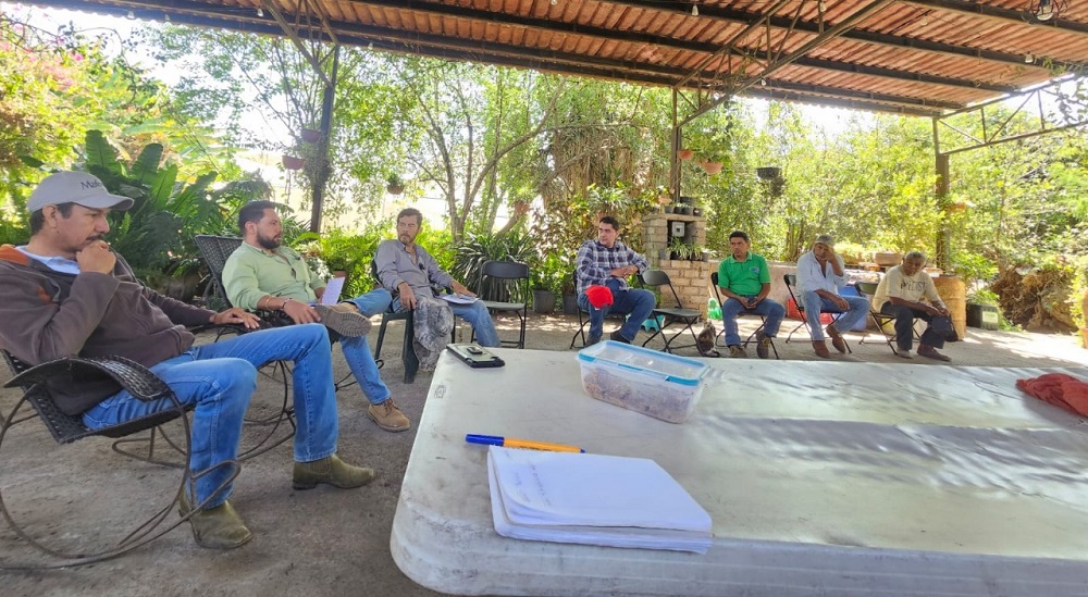 Gobierno del Estado de Colima aplicará $700 mil para fortalecer la estrategia sanitaria contra el Barrenador del Hueso