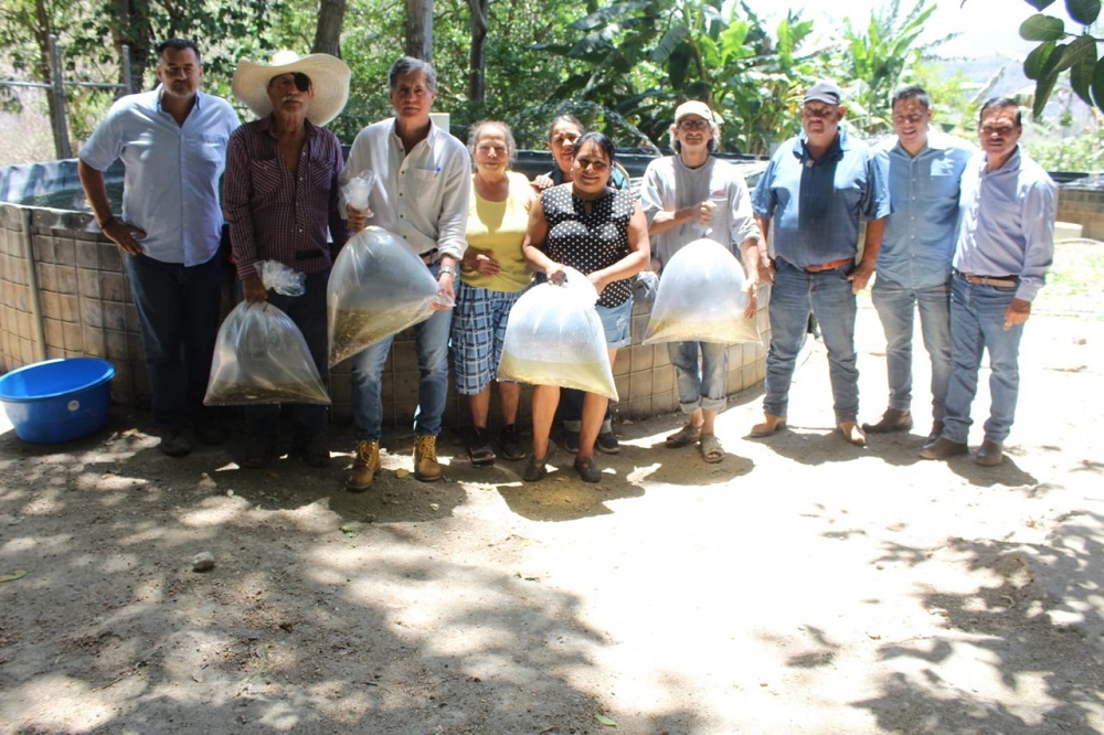 Subseder sigue entregando alevines en comunidades rurales del estado de Colima