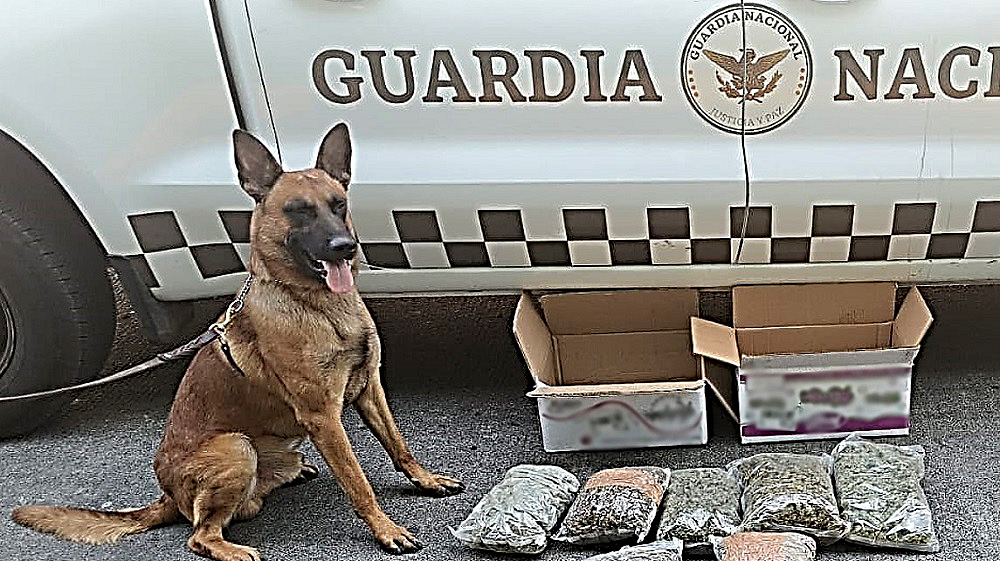 Con los operativos permanentes en el país, el Gabinete de Seguridad sigue combatiendo al crimen organizado