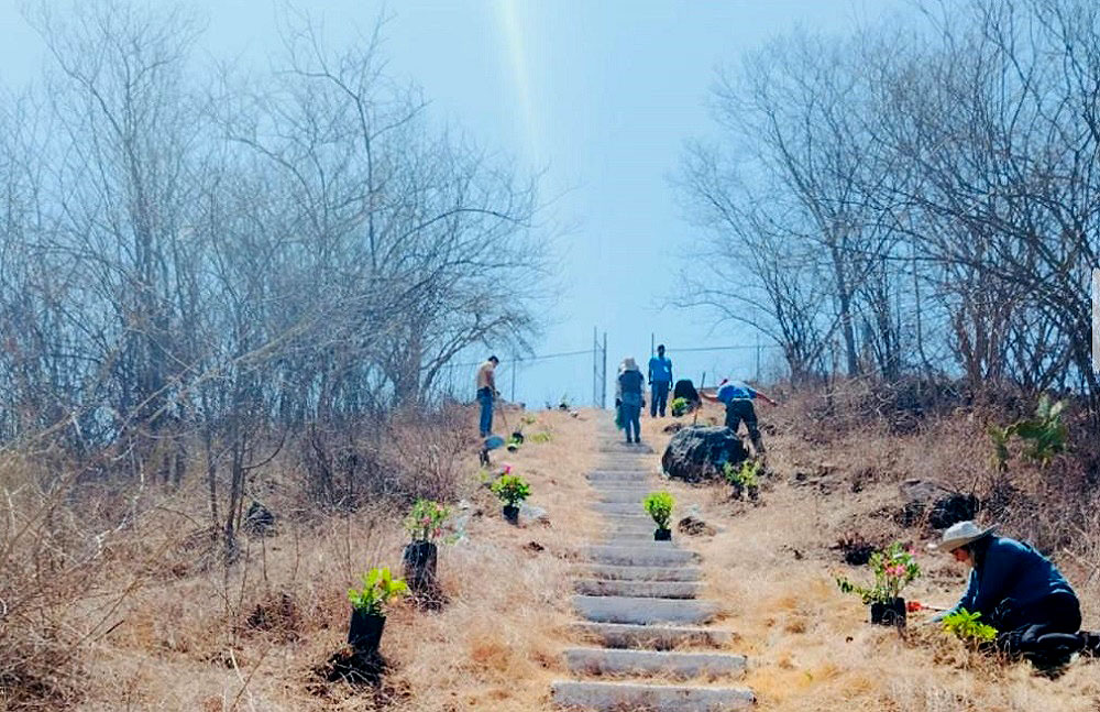 Ayuntamiento de Colima embellece el Cerro de la Virgen en Loma de Fátima para las fiestas patronales