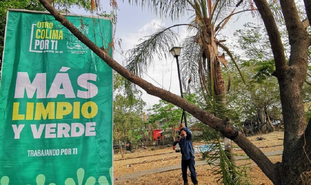 Gobierno de Riult Rivera avanza con la limpieza y poda de jardines: intervención en Bosques del Sur
