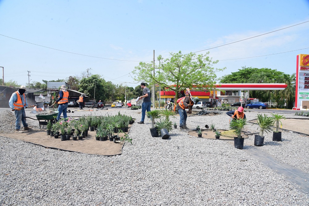 Avanza “Colima Verde y Vivo” con embellecimiento de glorieta en Nuevo Paraíso