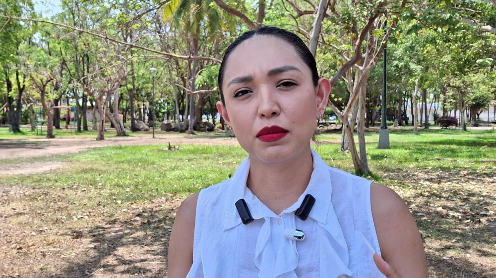 Fuerza Migrante promueve el rechazo al Impuesto a las Remesas propuesto en Estados Unidos: Romelia Serrano