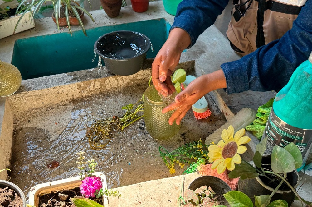 Exhorta Salud Colima a eliminar criaderos del mosco transmisor del dengue