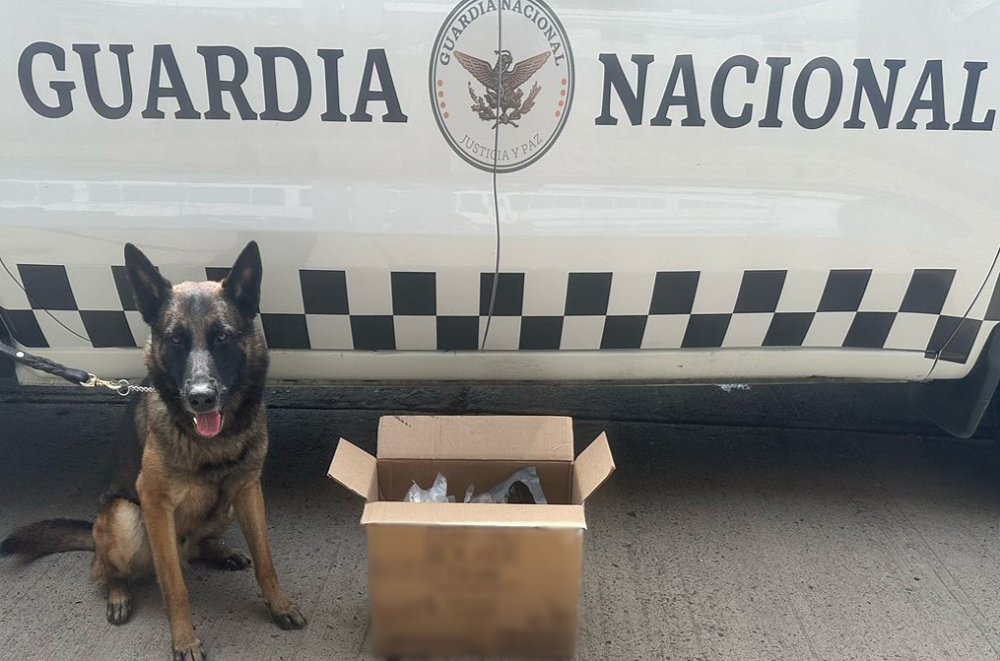 En operativos conjuntos el Gabinete de Seguridad continúa con aseguramiento de armas, drogas y detención de personas en varios estados de la República