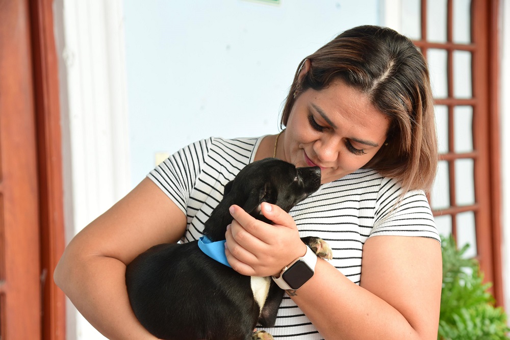 Control Canino y Felino de Colima, logra 25 adopciones concretadas y recauda más de 400 kilos de alimento