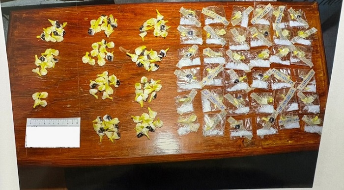 Obtiene FGR en Colima sentencia condenatoria contra una persona por posesión de arma de fuego y estupefacientes