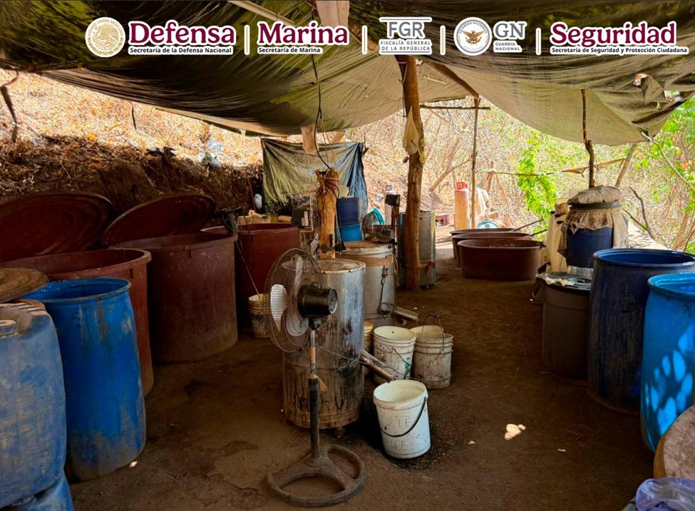 En Durango, efectivos del Gabinete de Seguridad desmantelaron un laboratorio y pista clandestina