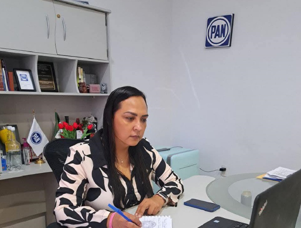 Escasa participación del 13% deslegitima proceso del Poder Judicial: Julia Jiménez