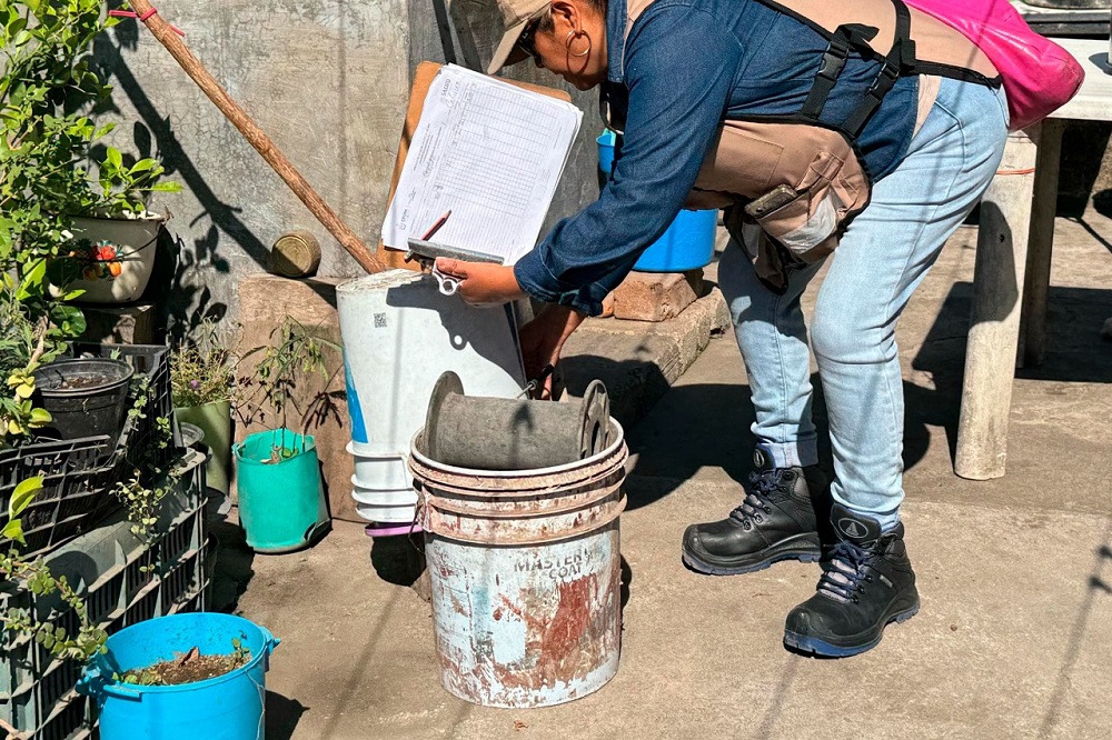 Estado de Colima sigue sin decesos por dengue durante 2025: SNVE