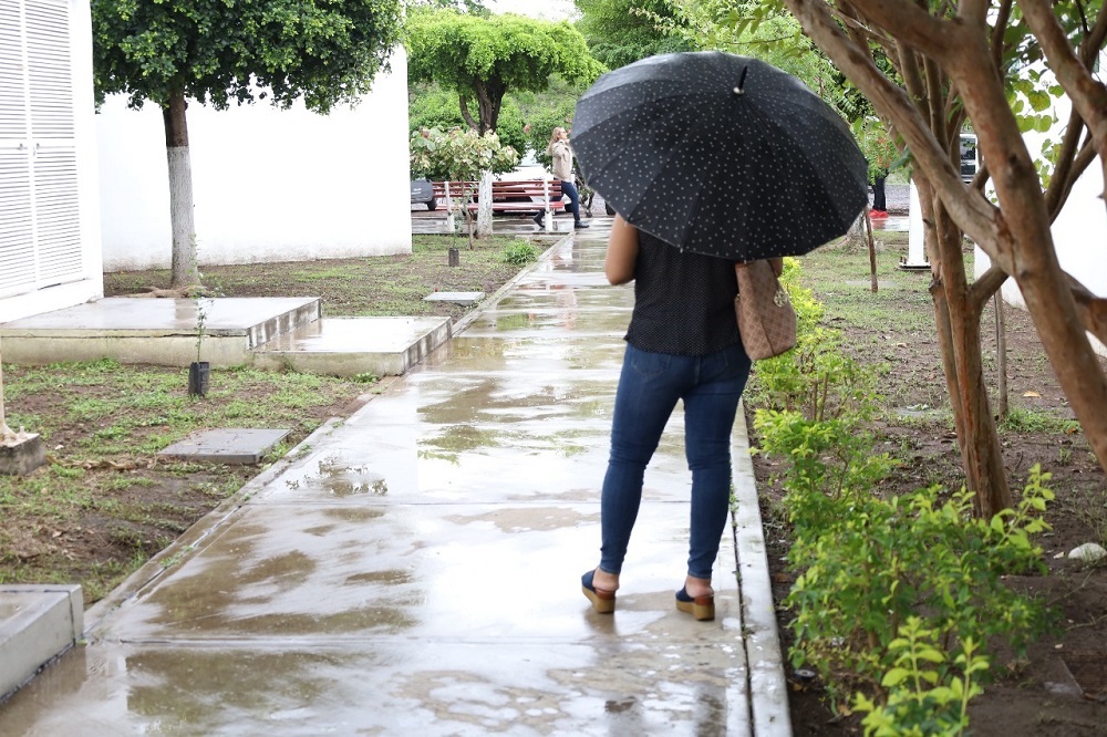 Previene Salud Colima que lluvias pueden generar enfermedades transmitidas por vector