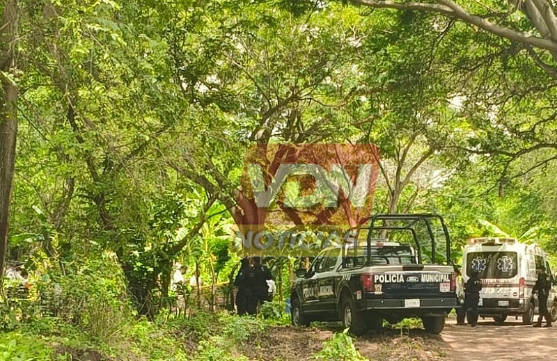 Ejecutan a un hombre en un predio de la colonia Villas del Sur, en la zona sur de Colima