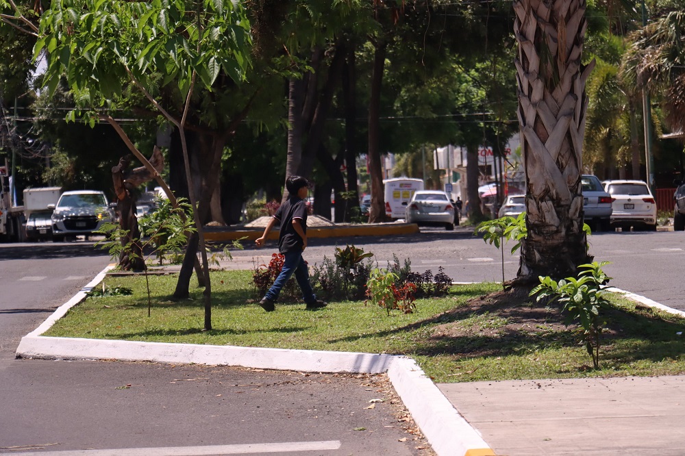 Continúa gobierno municipal de Colima embelleciendo espacios públicos a través del programa “Colima Verde y Vivo”