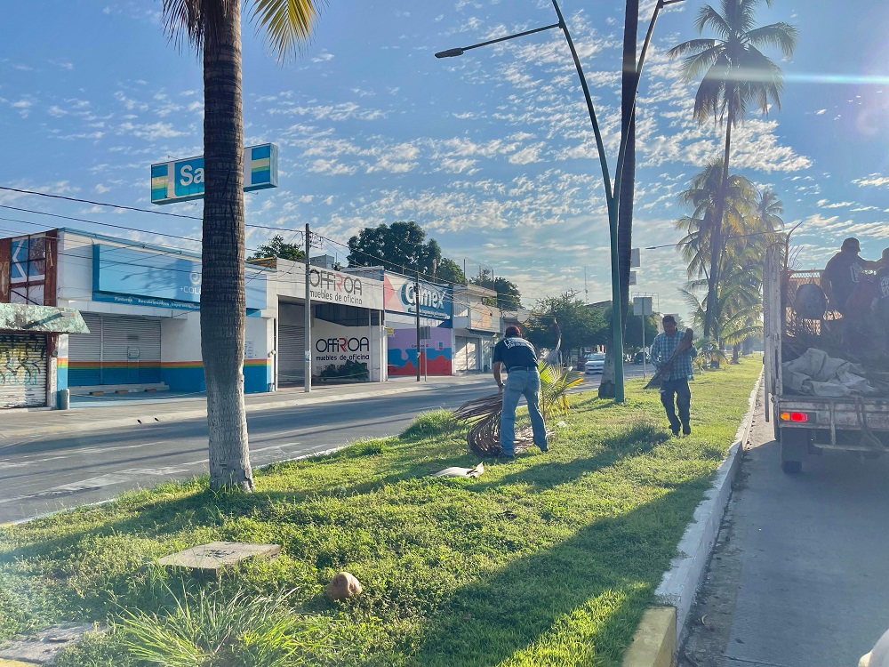 Con brigadas, Ayuntamiento de Colima continúa con labores de limpieza de camellones, ahora en el Tercer Anillo y avenida Camino Real