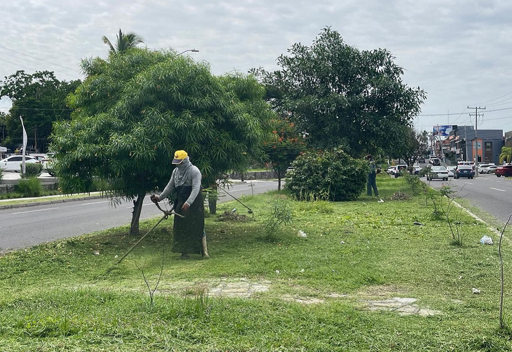 Con jornada de poda y limpieza el Ayuntamiento de Colima impulsa una ciudad con camellones y jardines limpios