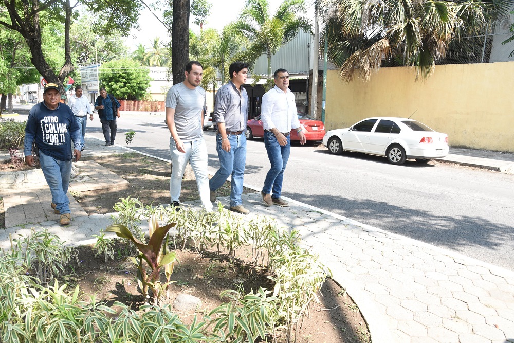 Presidente Riult Rivera supervisa rehabilitación y embellecimiento del camellón en la Avenida 20 de Noviembre