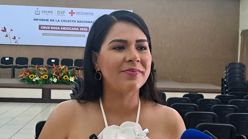 Con esfuerzos coordinados se trabaja en la erradicación del trabajo infantil en Colima: Diana Zepeda