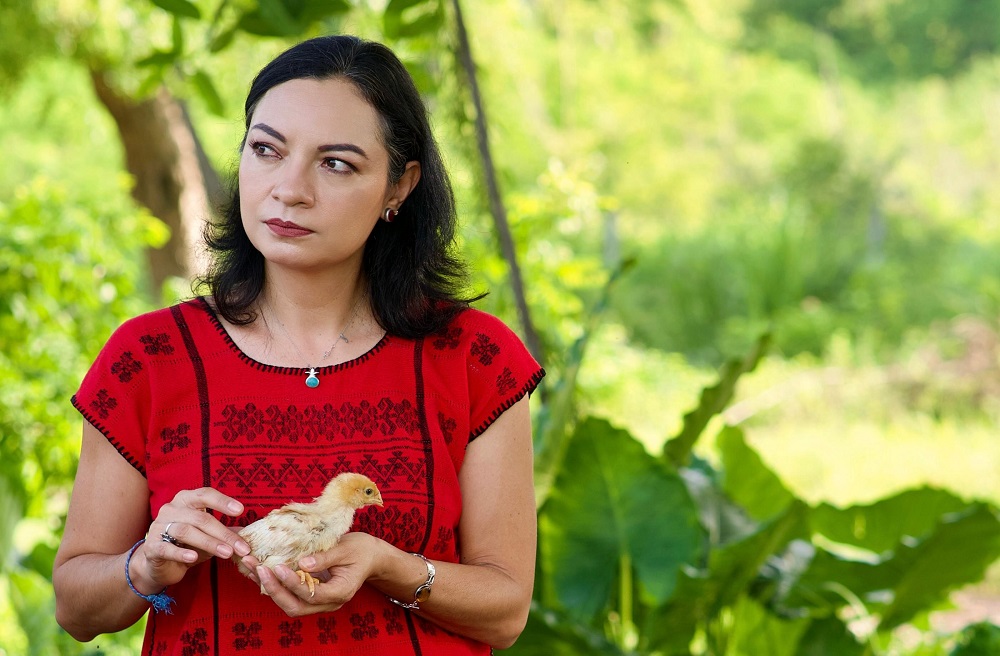 Entrega Mely Romero más de 8 mil pollitas ponedoras