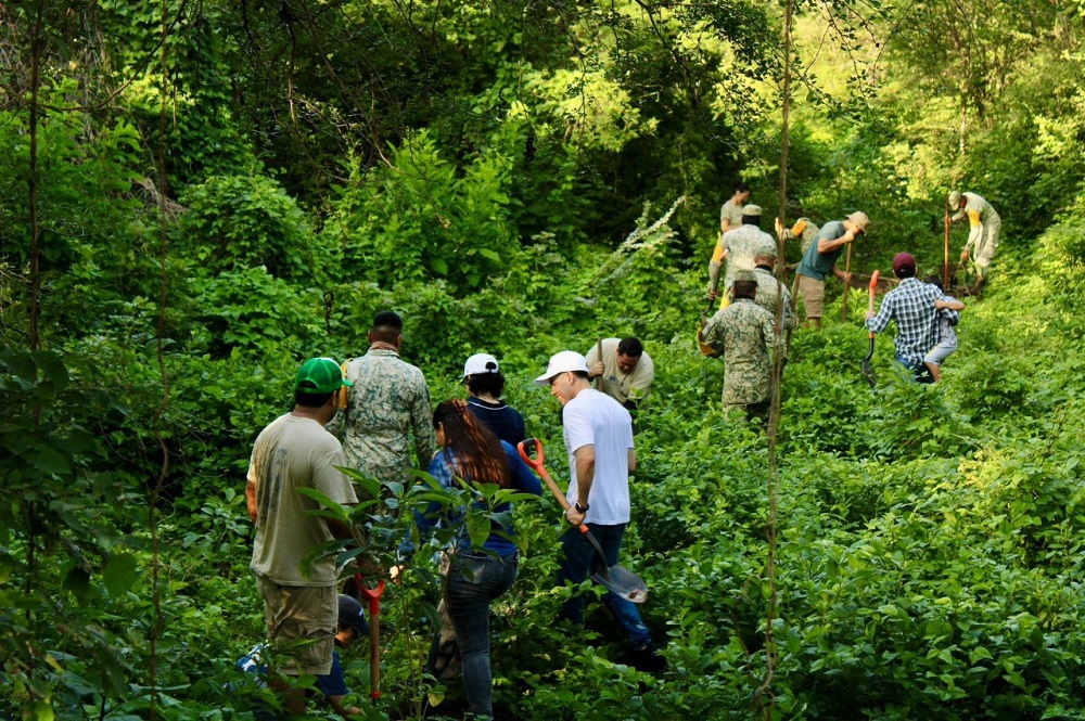 Gobierno del Estado reforesta 3 parques de la zona metropolitana Colima-Villa de Álvarez