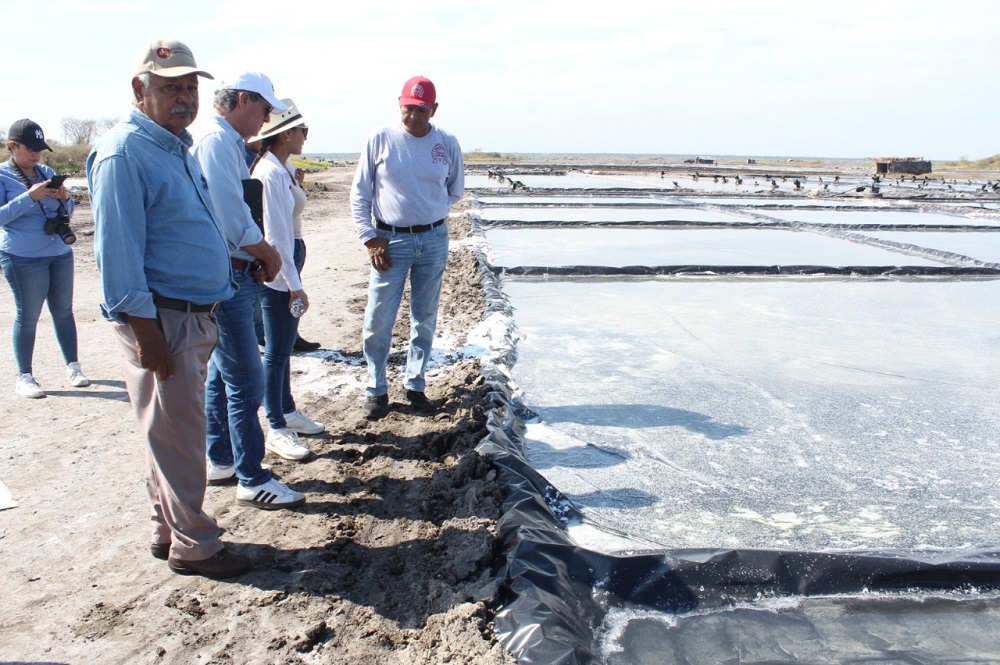 Gobierno del Estado de Colima convoca al Premio al Mérito Agropecuario 2025