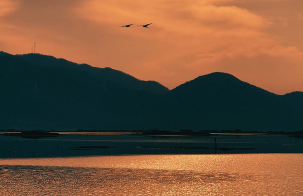 CONTECON Manzanillo mantiene su compromiso con la Laguna de Cuyutlán