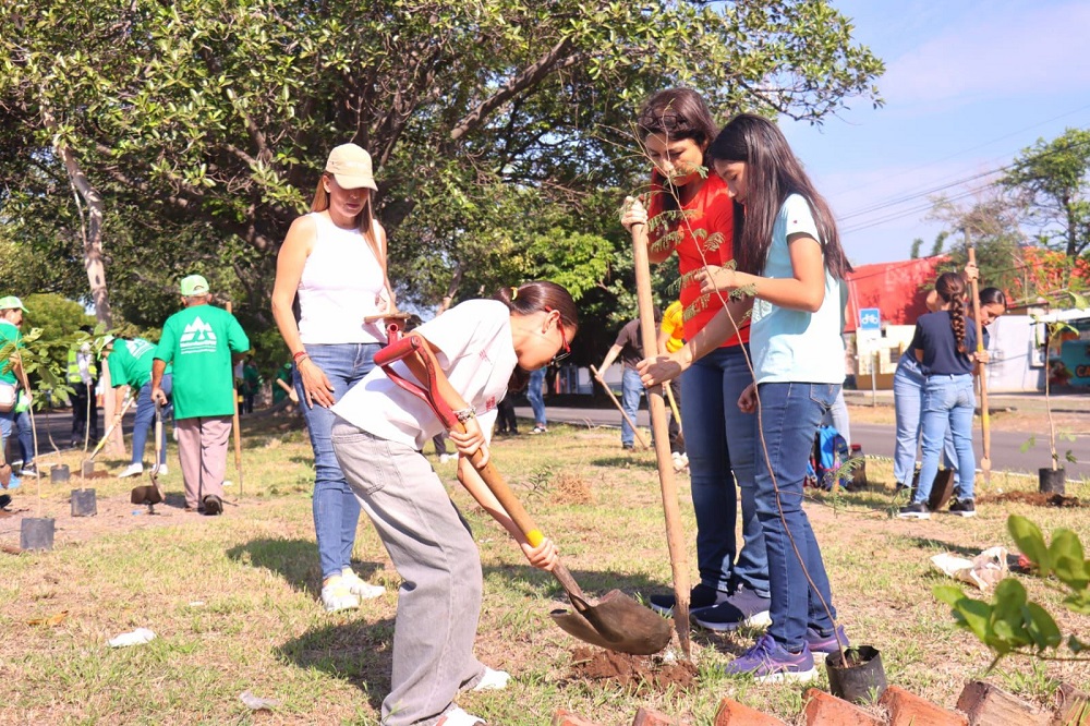 Programa “Reforestando por Ti” del Ayuntamiento de Colima, llega al camellón de la avenida Niños Héroes