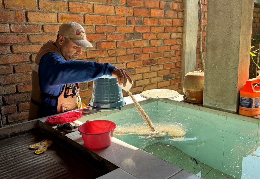 Salud Colima refuerza control larvario en colonias de municipios en riesgo de dengue