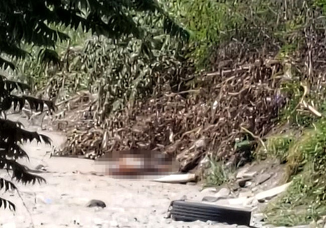 Localizan cadáver en avanzado estado de descomposición en el Libramiento a Jalipa en Manzanillo