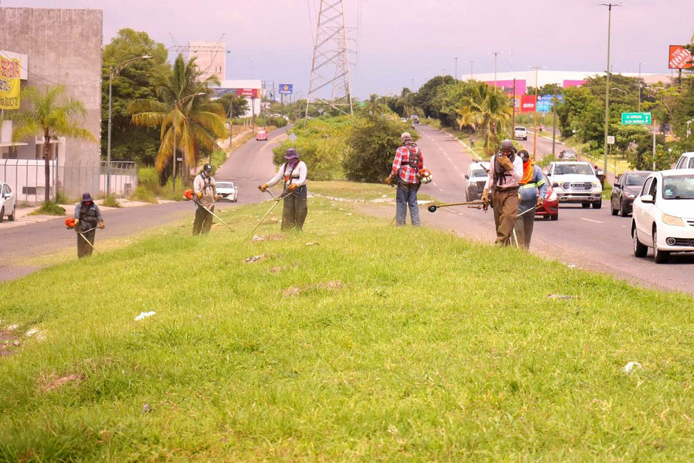 Cuadrilla de Parques y Jardines de Colima realiza mantenimiento en camellones del Tercer Anillo