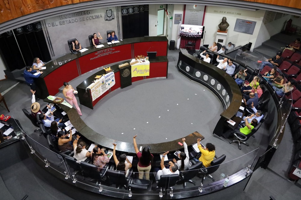 Designa Congreso de Colima a Luis Armando Velázquez como integrante del Órgano de Administración Judicial Local